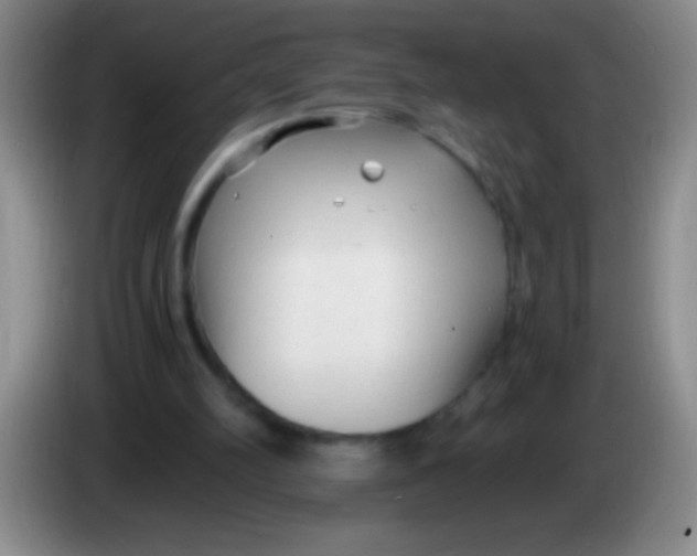 X0000084010102200703091935