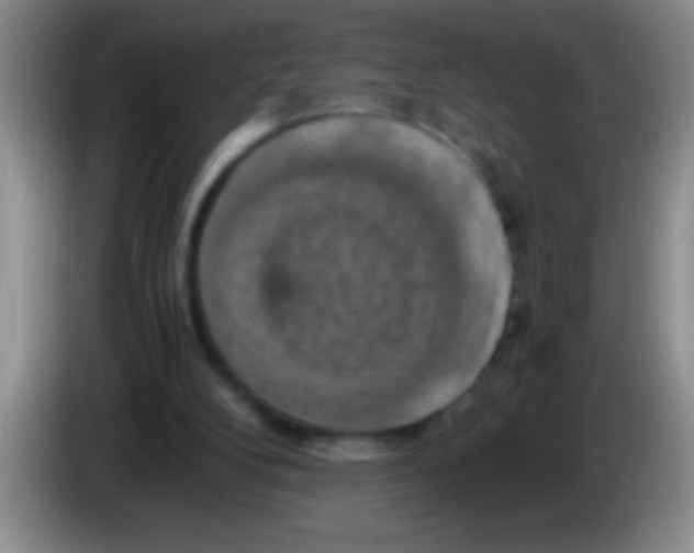 X0000084010104200703091935