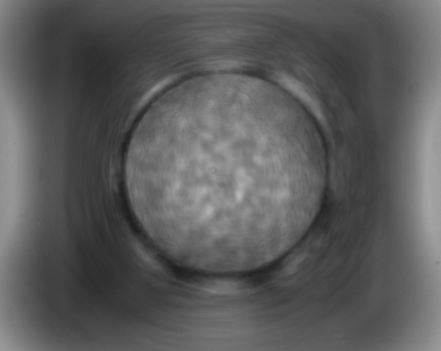 X0000084010107200703091935