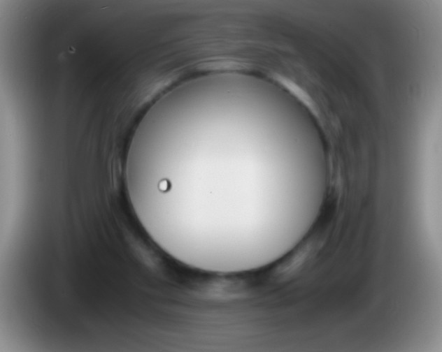 X0000084010109200703091935