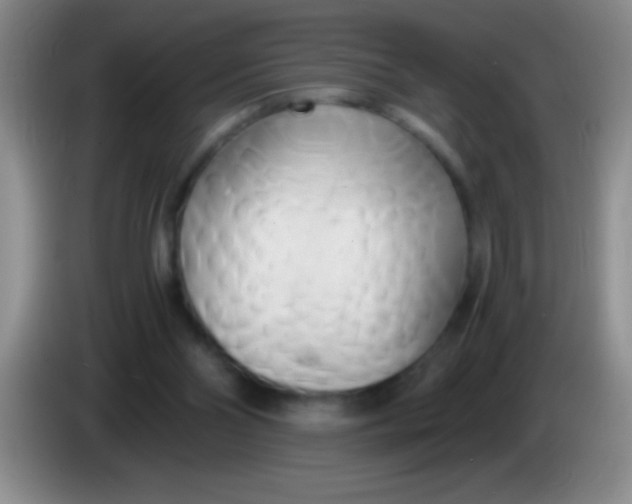 X0000084010110200703091935