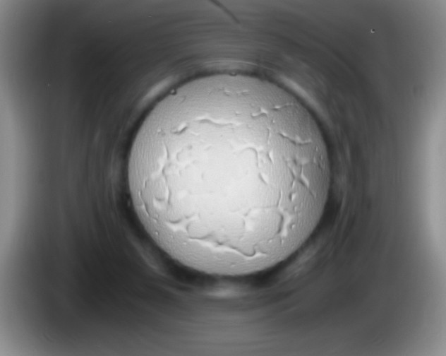 X0000084010111200703091935