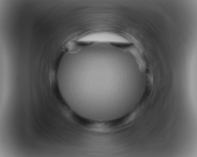 X0000084010117200703091935