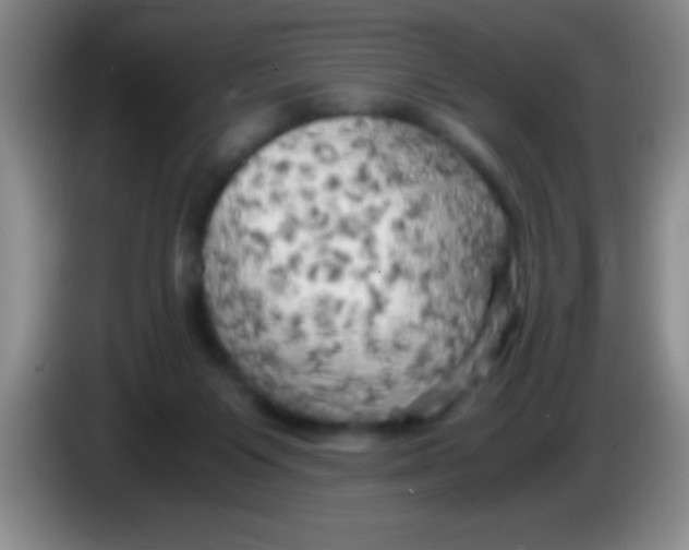 X0000084010119200703091935