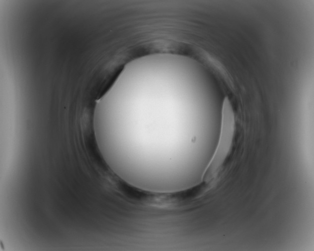 X0000084010121200703091935