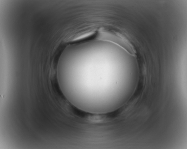 X0000084010129200703091935