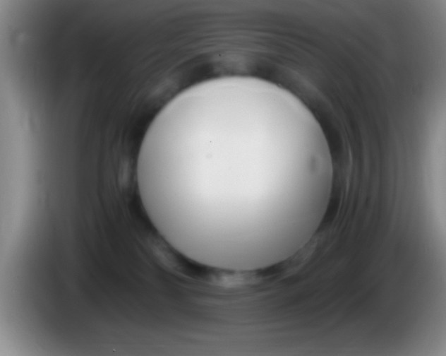 X0000084010134200703091935