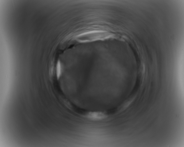 X0000084010137200703091935