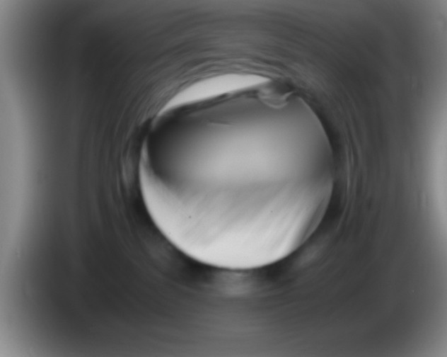 X0000084010139200703091935