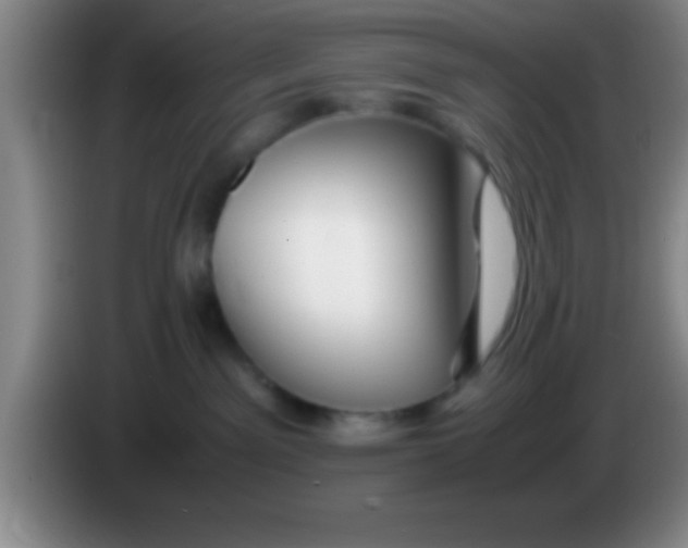 X0000084010141200703091935