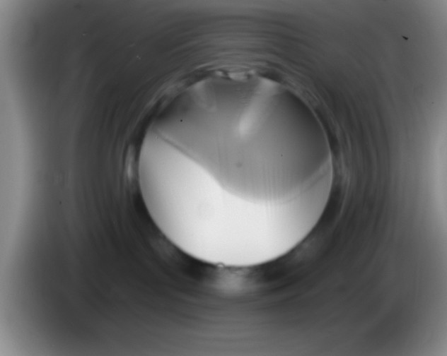 X0000084010143200703091935