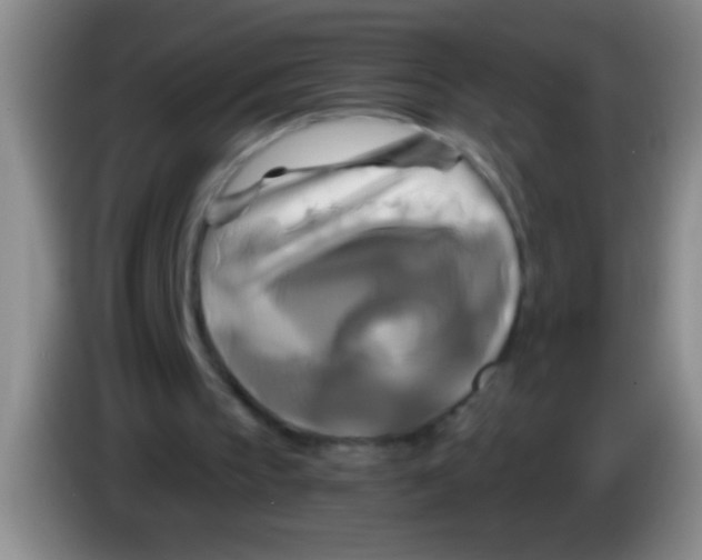 X0000084010145200703091934