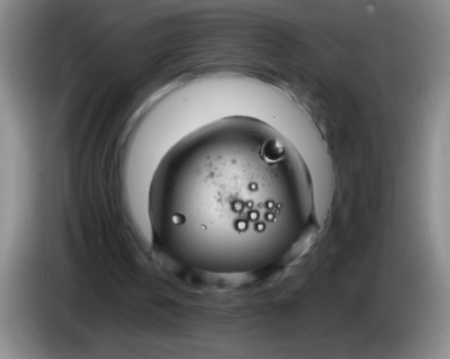 X0000084010146200703091934