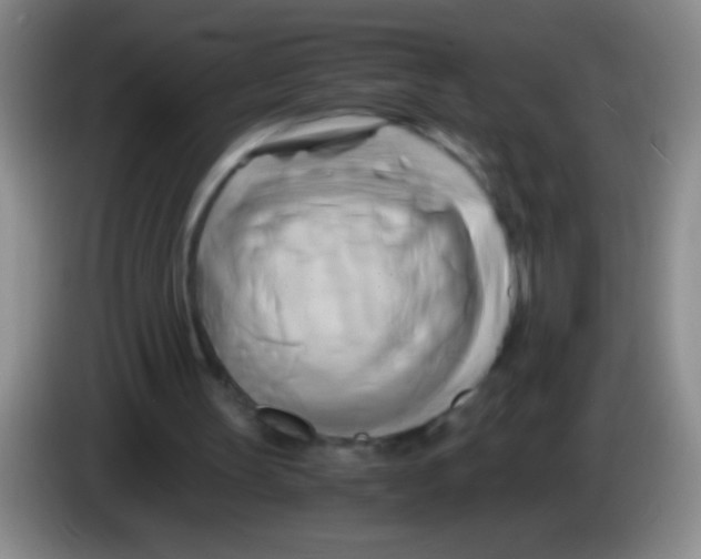 X0000084010147200703091934