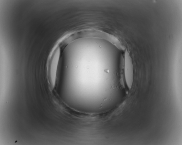 X0000084010148200703091934