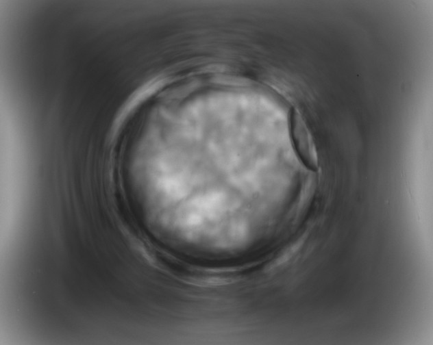 X0000084010149200703091934