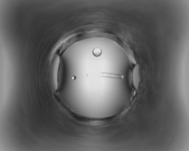 X0000084010150200703091934