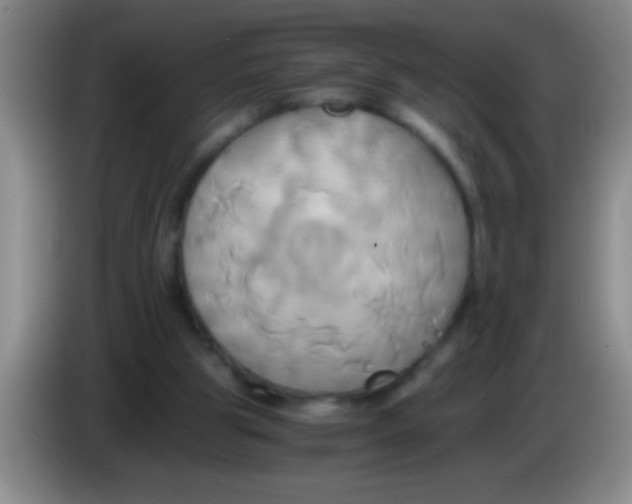 X0000084010153200703091934