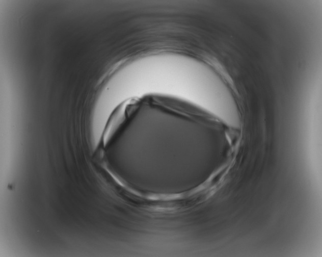 X0000084010154200703091934