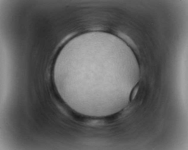 X0000084010155200703091934