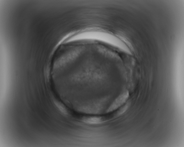 X0000084010156200703091934