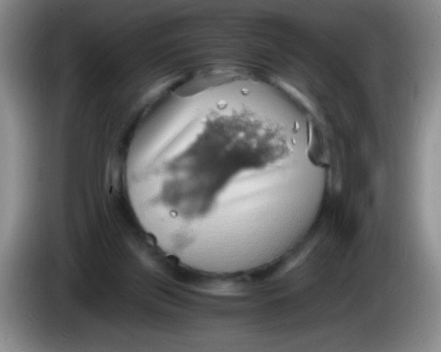 X0000084010157200703091934