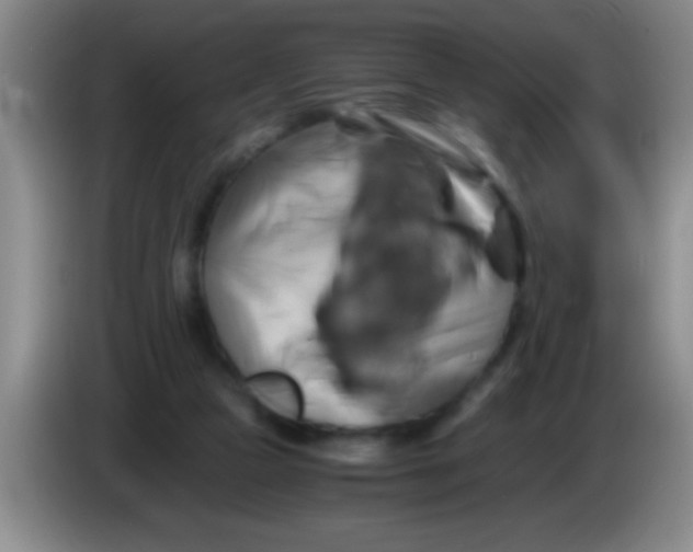 X0000084010161200703091934