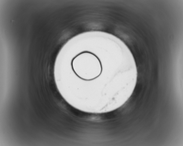 X0000084010162200703091934