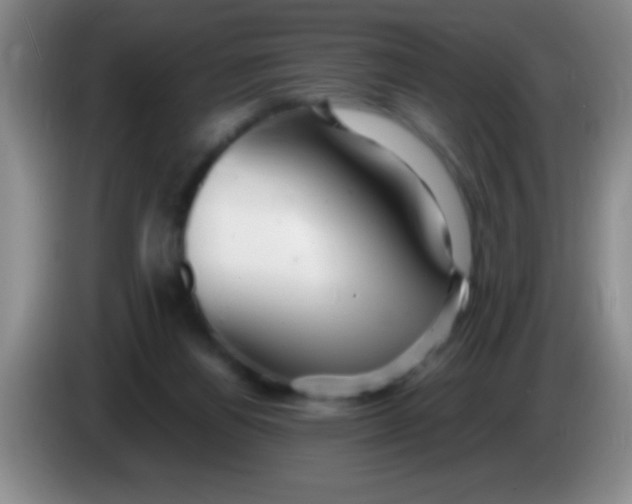 X0000084010164200703091934