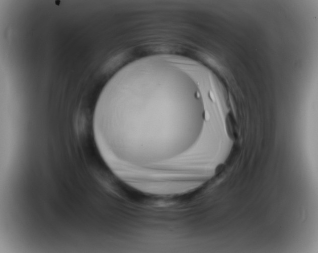 X0000084010165200703091934