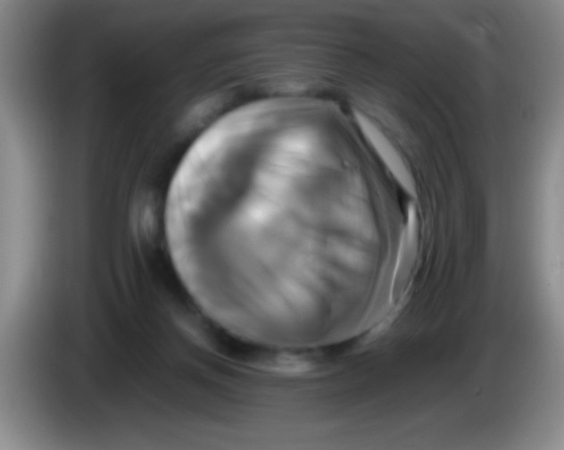 X0000084010166200703091934