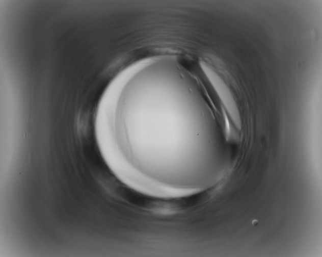 X0000084010167200703091934