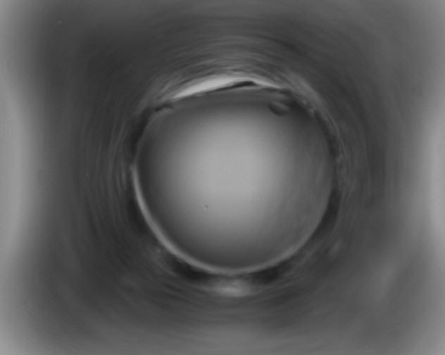 X0000084010169200703091934