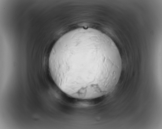 X0000084010171200703091934