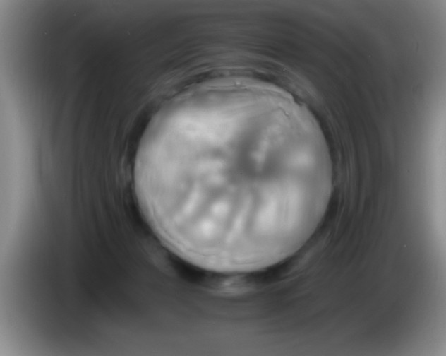 X0000084010173200703091934