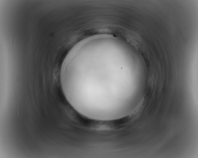 X0000084010175200703091934