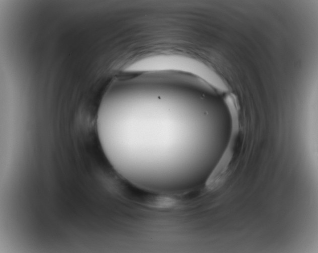 X0000084010176200703091934