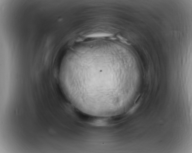 X0000084010178200703091934