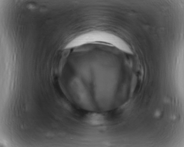 X0000084010180200703091934