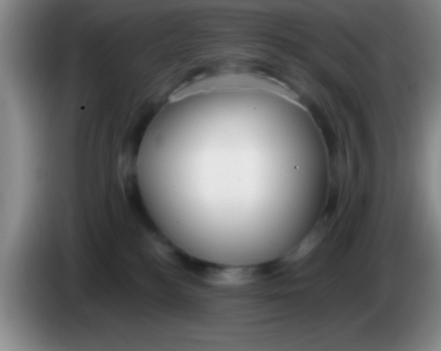 X0000084010184200703091934