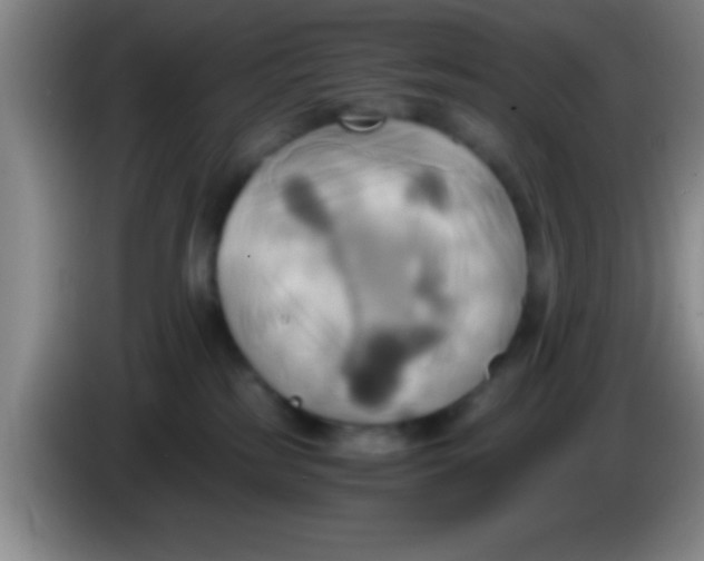 X0000084010185200703091934