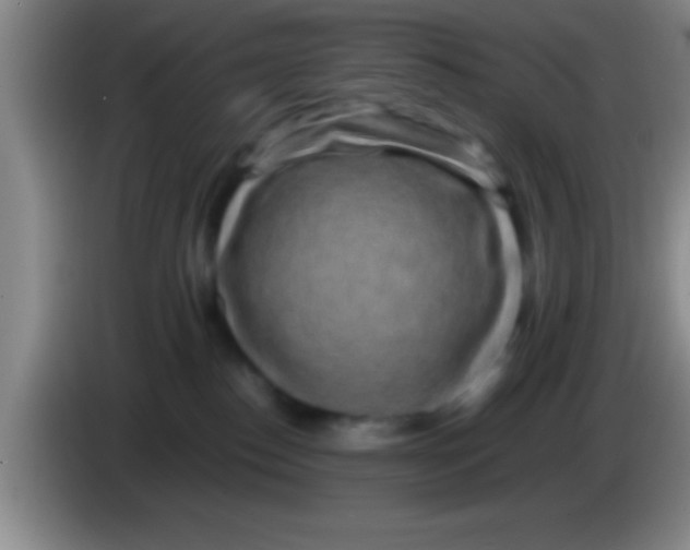 X0000084010186200703091935