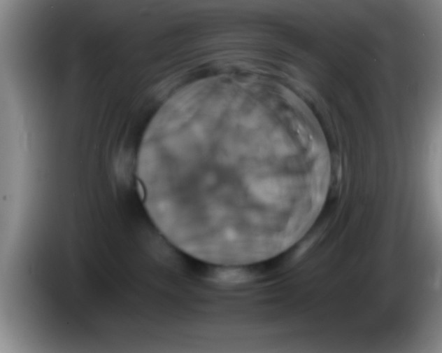 X0000084010189200703091935