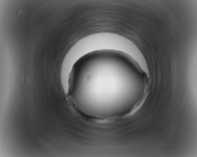 X0000084010190200703091935