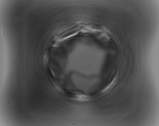 X0000084010192200703091935