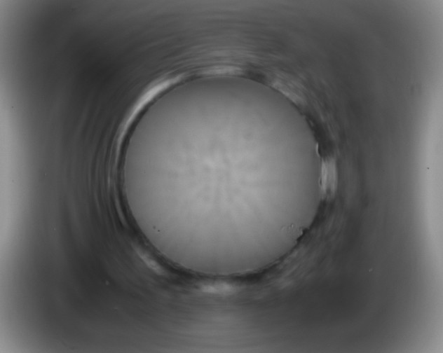 X0000084010195200703091934