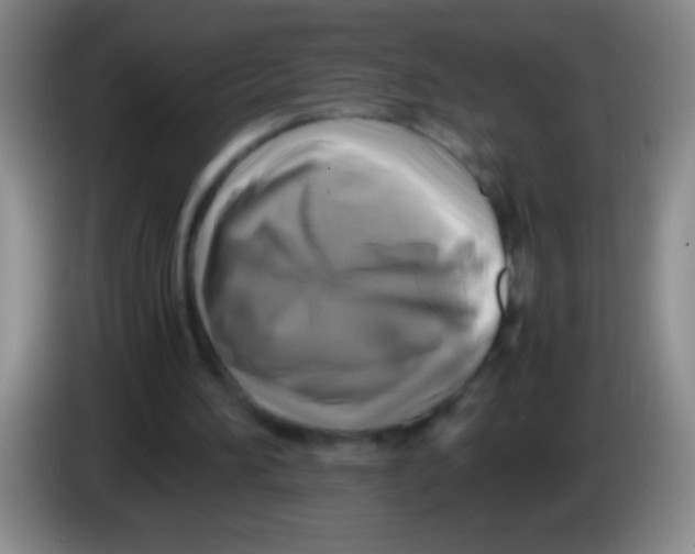 X0000084010196200703091934