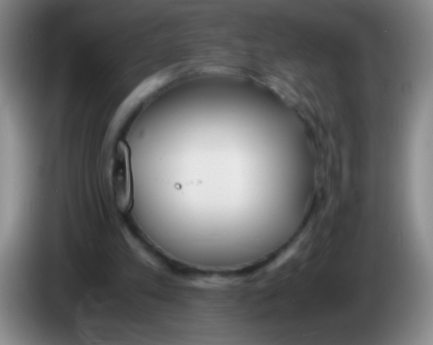 X0000084010197200703091934