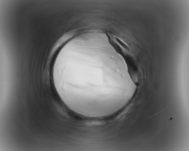 X0000084010198200703091934