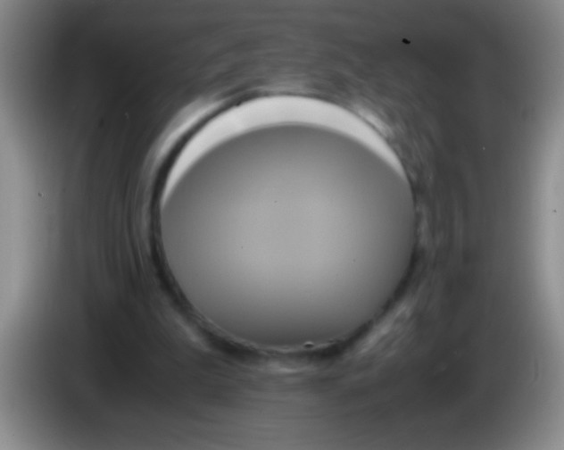 X0000084010199200703091934